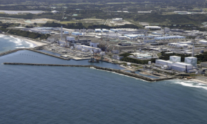 Tokyo Set to Release Fukushima Water Amid Seafood Import Bans