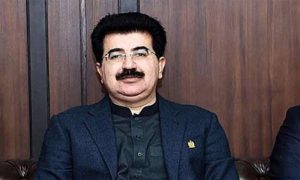 Youm-e-Istehsal, Chairman Senate, Sadiq Sanjrani, Article 370, special status, Senate