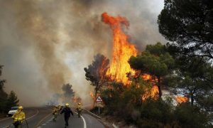 Wildfire, Tenerife, Evacuations, Spain,