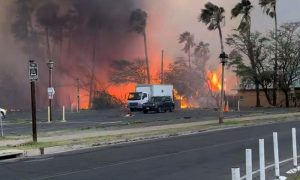 devastating, wildfires, sweep, across, Maui, Hawaii, Oahu
