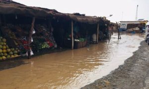 Flood, Bahawalpur, Sutlej River, water, district, management, Disaster Management Authority,