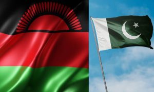 Malawi, Bilateral Trade, Pakistan, South Africa,