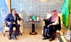 Pakistan, Saudi Arabia, economy, energy, trade, investment, Foreign Minister, Jalil Abbas Jilani, Prince Faisal bin Farhan Al Saud, United Nations General Assembly,