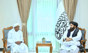 OIC Special Representative to Afghanistan Meets with Afghan Interim FM
