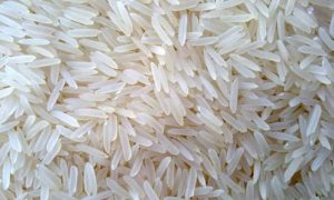 Rice