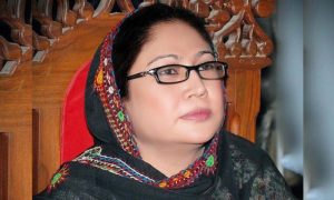 Democracy, Defence, Economy, Defence Day, Faryal Talpur, PPP, Pakistan, Armed Forces,