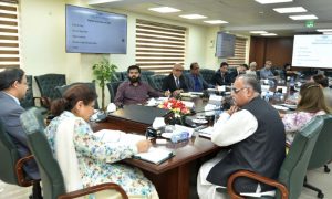 FBR, Automation, Pakistan, Finance Minister, Shamshad Akhtar