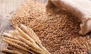 Wheat Stocks, million, supply, markets, Punjab, Balochistan, Pakistan, food, Agriculture