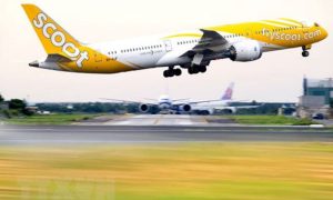 Australia, Singapore, Scoot, Bomb, Changi Airport