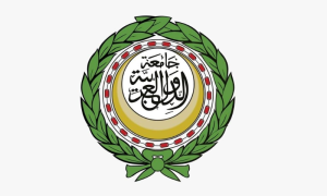 Arab League Holds International Community Responsible for Present Situation in Palestine