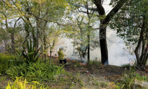 Australia Spring Heatwave: Bushfires Spark Evacuations in Southeast