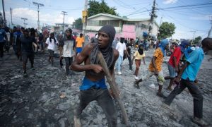 Appeal, Aid, Gang Violence, Haiti, International Organization for Migration, IOM, Government, Homes, Refuge, Shelter, UN,