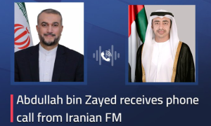 Israel-Palestine Escalation: UAE, Iran Discuss Regional Developments