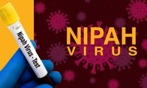 National Institute of Health, NIH, government, Nipah Virus, Minister for Health, Dr. Nadeem Jan, Malaysia, Singapore, Bangladesh, India, Pakistan
