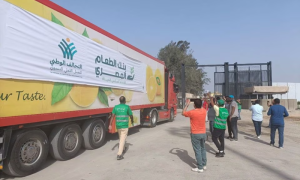Second Aid Convoy Enters Gaza through Egyptian Rafah Crossing
