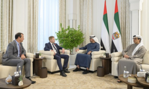 UAE President, UK Defense Minister Discuss Situation in Gaza