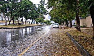 Weathe, Rain, PMD, Punjab, Arabian Sea, Pakistan,