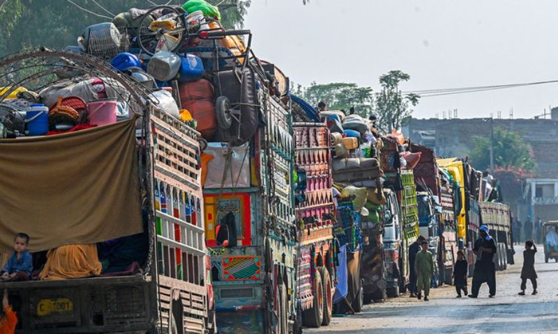 Illegal Immigrants, Pakistan, Deadline, Government, Minister of Interior, Sarfraz Bugti, Afghan Refugees, United Kingdom, Islamabad, Airport, Civil Aviation Authority