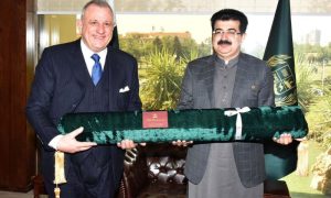 Italian, Ambassador, Pakistan, Chairman Senate, Muhammad Sadiq Sanjrani, Parliament House, Islamabad, Relations, Energy, Electricity, Investors, Italy, Climate Change, Investment,