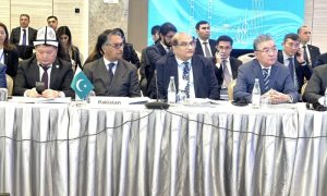 Pakistan, Foreign Minister, Jalil Abbas Jilani, Economic Cooperation Organization, ECO, Intra-Regional Trade, Azerbaijan,