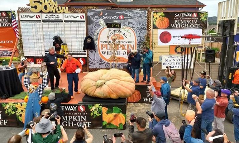 Oh my Gourd: Hippo-sized Pumpkin is World's Biggest