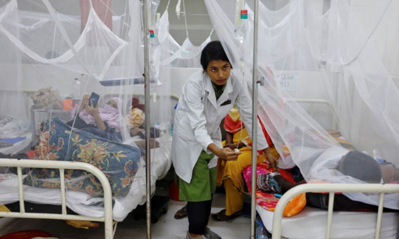 Bangladesh, Dengue, Climate, Dhaka, Virus, Outbreak, Aedes mosquitoes