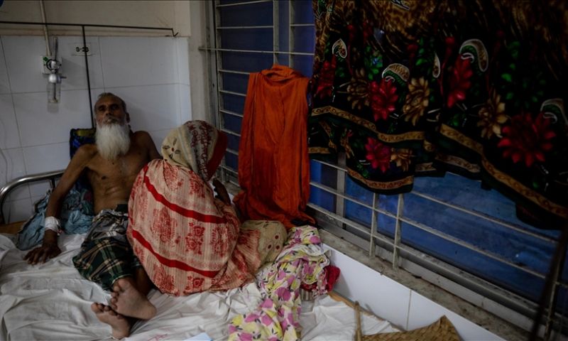  Bangladesh, Dengue, Climate, Dhaka, Virus, Outbreak, Aedes mosquitoes