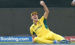 Australia, Embrace, India, Challenge, crowd, World Cup, Final, ICC, Ahmedabad, Indian Premier League, Pat Cummins