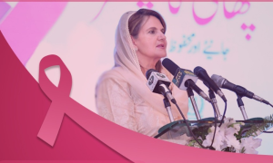 Improved Screening Facilities Key to Early Detection of Breast Cancer: Samina Alvi
