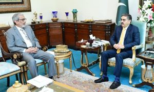 PM, Sindh, CM, Discusses, Action, Smuggling, Power, Theft