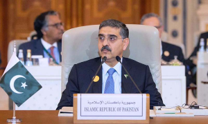 Pakistan Urges Immediate International Intervention, Permanent Solution to Palestine Issue