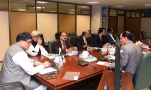 Pakistan's SFIC Working Group Reviews Investment, SEZ Development