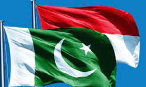 Strengthening Economic and Trade Ties: Pakistan and Indonesia Explore New Avenues