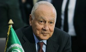 Arab League, Truce in Gaza, CAIRO, Secretary-General of the Arab League, Ahmed Aboul Gheit, Egyptian-Qatari,