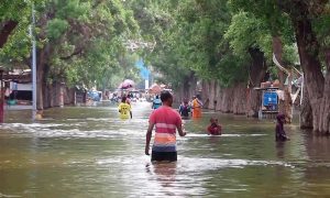 Kenya, Floods, President, Emergency, El Nino Weather, Weather, Flooding, Rains, Drought, Safety, Crisis, Meteorological Department