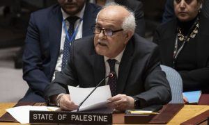 UNSC, Palestinian Envoy, Truce, NEW YORK, Palestinian Ambassador, Riyad Mansour, Gaza Strip,