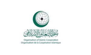 OIC, Journalists in Gaza, Organization of Islamic Cooperation, Israeli occupation forces’