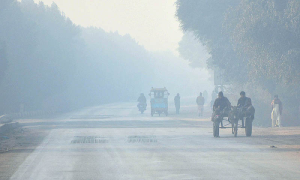 Dense Fog Grips Bahawalpur