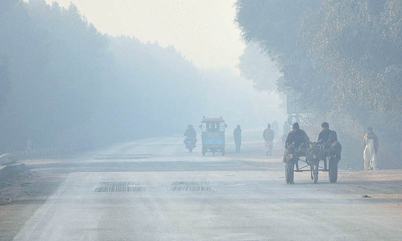 Dense Fog Grips Bahawalpur