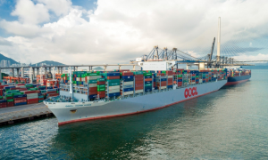 Hong Kong’s OOCL Halts Israel Shipments Amid Increasing Threat in Red Sea