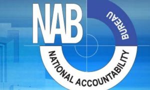 NAB, National Accountability Bureau, NAB, National Assembly, Pakistan Democratic Movement, government, Yousuf Raza Gilani, Ordinance
