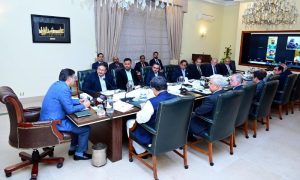 PM, Prime Minister, Anwaarul Haq Kakar, Zaka Ashraf, Authorities, Election, PCB, Management Committee, Karachi, Lahore, Islamabad, Quetta, Peshawar, Muhammad Hafeez, Umar Gul, Anwarul Haq Kakar