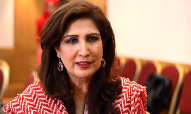 PPP’s Shehla Raza Advises All Political Parties to Focus Economic Issues