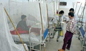Pakistan, Punjab, dengue cases, Health Department, Lahore,