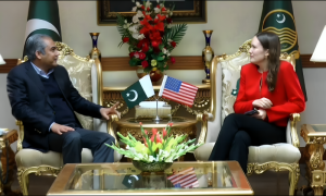 A meeting was held between Punjab Chief Minister Mohsin Naqvi and the US Consul General Kirstin K. Hawkins where she commended Chief Minister Mohsin Naqvis people friendly initiatives. The meet