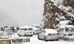 Authorities Issue Travel Advisory for Tourists Amidst Snowfall in NA