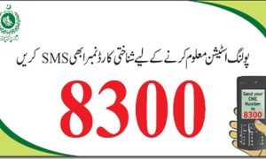 Vote, ECP, 8300, SMS Service,