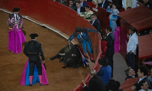 Mexico City Resumes Bullfighting Amid Protests for a Permanent Ban