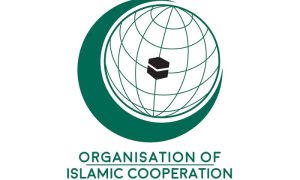OIC, Ombudsmen, Organization of Islamic Cooperation, OIC, global injustices, Palestinian people, OICOA, Turkiye, Azerbaijan, Indonesia, Morocco,