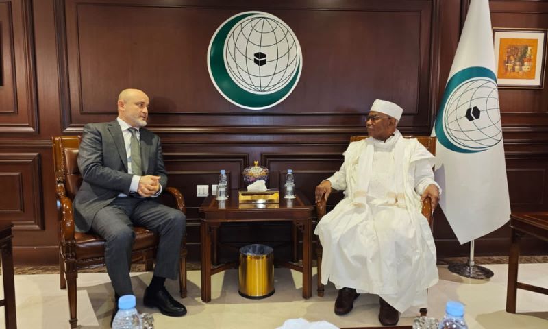 Organization of Islamic Cooperation, OIC, Hissein Brahim Taha, Russian’s Ambassador, Turko Daudov